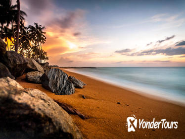 Tour in Sri Lanka for 8 days
