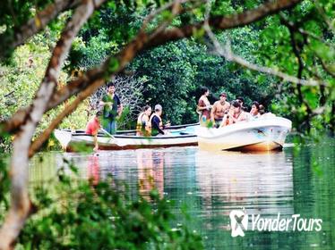 Turtle and Crocodile Eco Tour from Huatulco with Mangrove Boat Ride Turtle and Crocodile Eco Tour from Huatulco with Mangrove Boat Ride