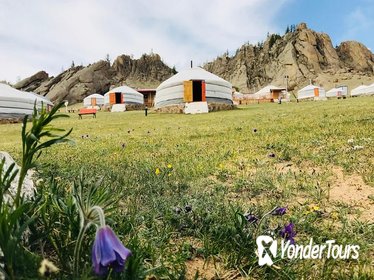 Two Days in Terelj National park