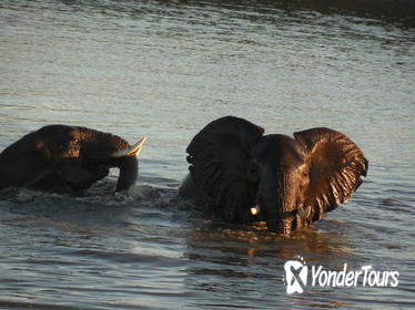 Two Days, One Night Tour: Blyde River to Kruger National Park