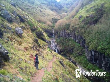 Walking Tour: Ribeira Funda and Furnas from Ponta Delgada Walking Tour: Ribeira Funda and Furnas from Ponta Delgada
