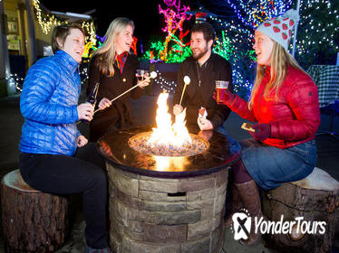 WildLights at Woodland Park Zoo WildLights at Woodland Park Zoo