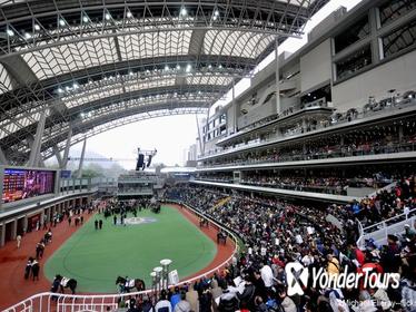 Hong Kong Horse Racing Tour