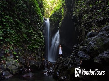 Gitgit and Alingaling Waterfalls Tour: Including Pura Taman Ayun Temple