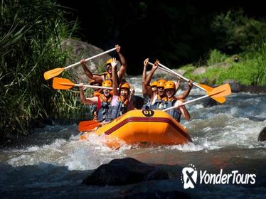 Bali Rafting, Ubud, and Jimbaran Day Tour