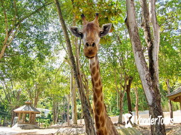 Chiang Mai Zoo Admission with Roundtrip Transfer Chiang Mai Zoo Admission with Roundtrip Transfer