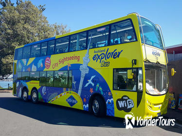 Auckland Hop-on Hop-off Tour