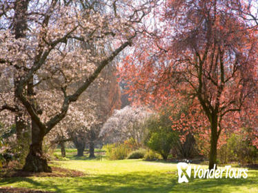Christchurch Half-Day Gardens Tour Christchurch Half-Day Gardens Tour