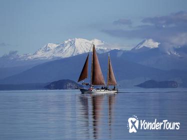 Maori Rock Carvings Sailing Tour