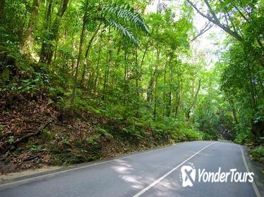Ocho Rios Highlight Tour with River Tubing or Rafting