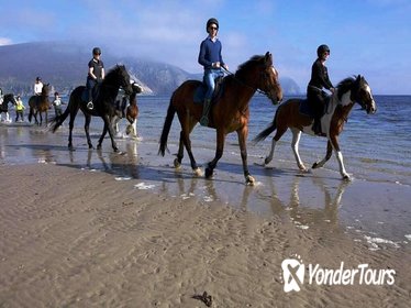 Connemara Wild Atlantic Way Beach Horseback Ride from Galway