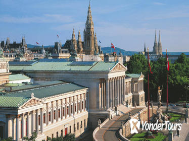 Private History and Art City Tour of Vienna