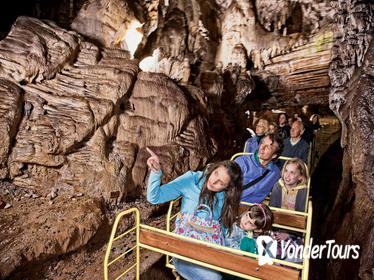 Postojna Cave and Castle Small-Group Day Tour from Ljubljana Postojna Cave and Castle Small-Group Day Tour from Ljubljana