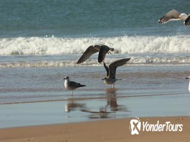 El Rocio, Donana Natural Park and Matalascanas Beach Day Trip from Seville