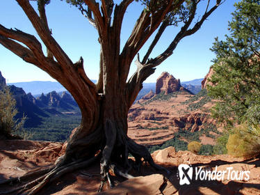 Old Bear Wallow Tour from Sedona Old Bear Wallow Tour from Sedona