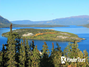 Half-Day Yukon Sightseeing Shore Excursion from Skagway Half-Day Yukon Sightseeing Shore Excursion from Skagway