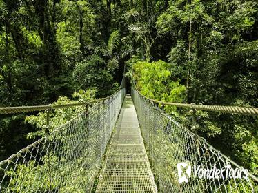 Arenal Hanging Bridges from Arenal